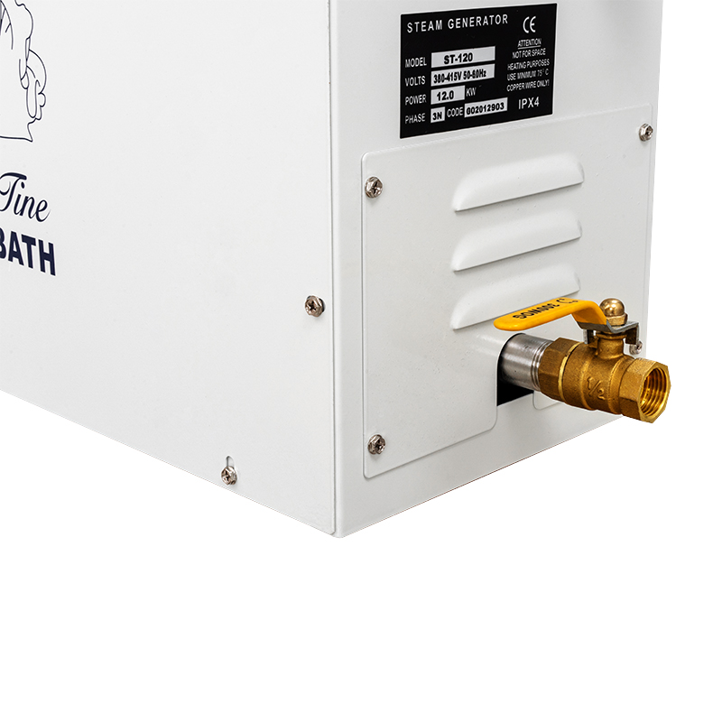 Générateur de vapeur STCMOET a - Home Bathroom With Sauna avis et prix
